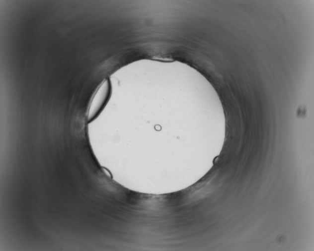 X0000102350288200808291208
