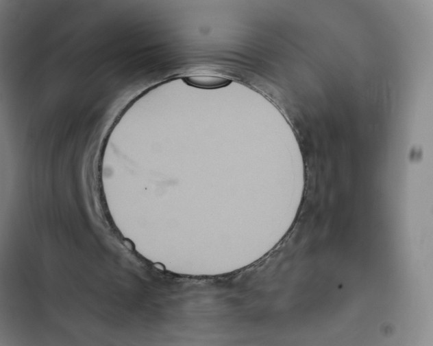 X0000102350289200808291208