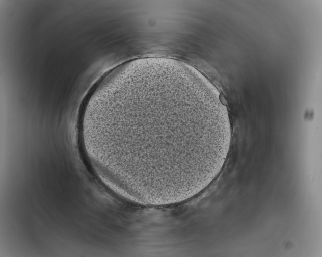 X0000102350290200808291208