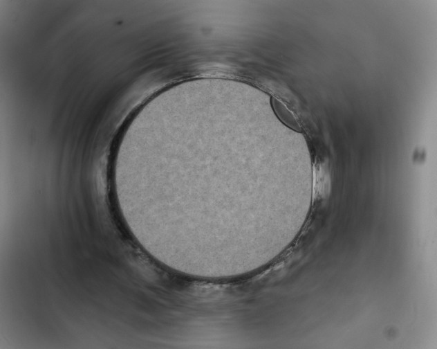X0000102350291200808291208