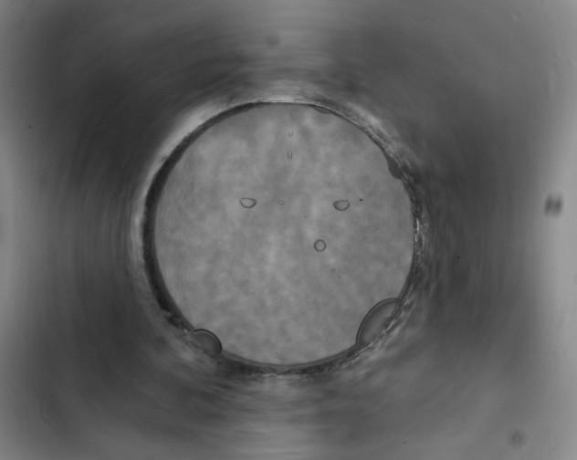X0000102350292200808291208
