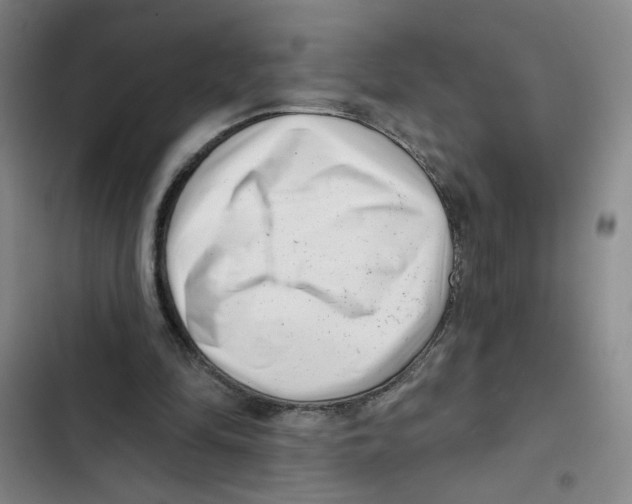 X0000102350294200808291208