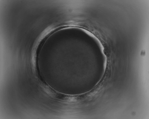 X0000102350295200808291208