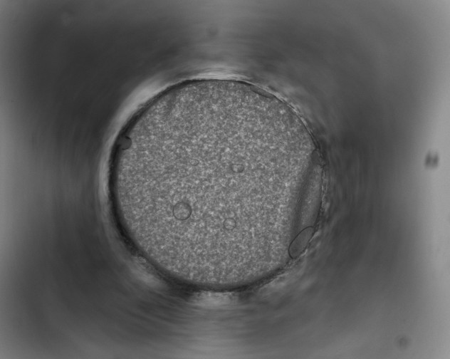 X0000102350296200808291208