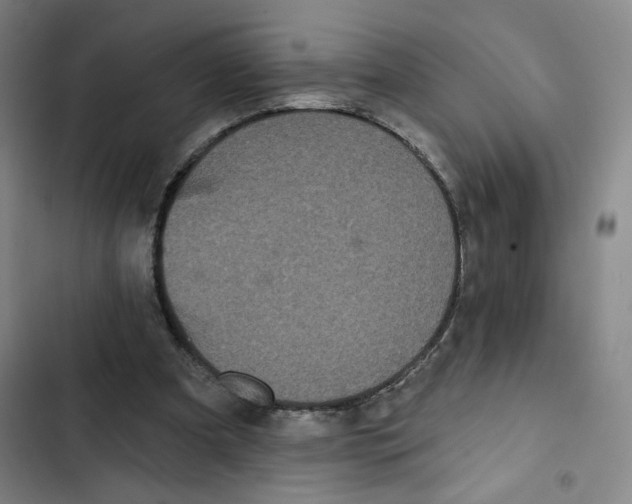 X0000102350297200808291208