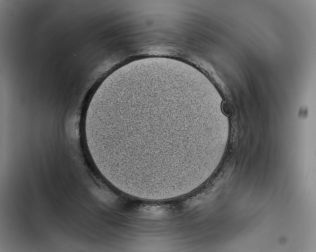 X0000102350299200808291208