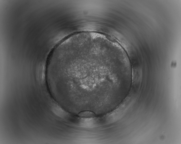 X0000102350301200808291208