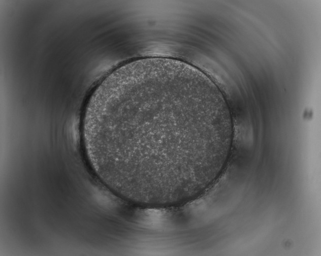 X0000102350302200808291208