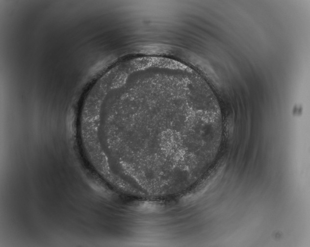 X0000102350303200808291208