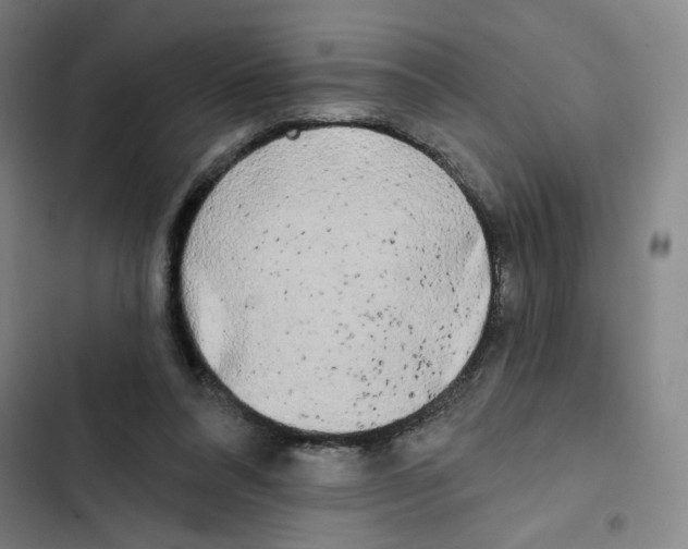 X0000102350304200808291207