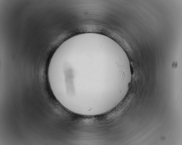 X0000102350306200808291207