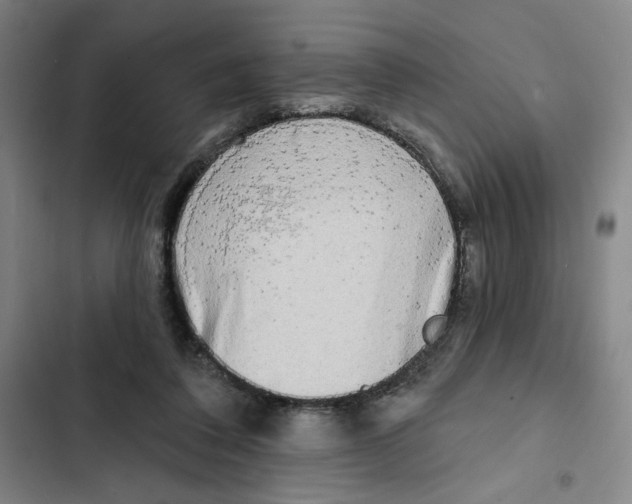 X0000102350308200808291207