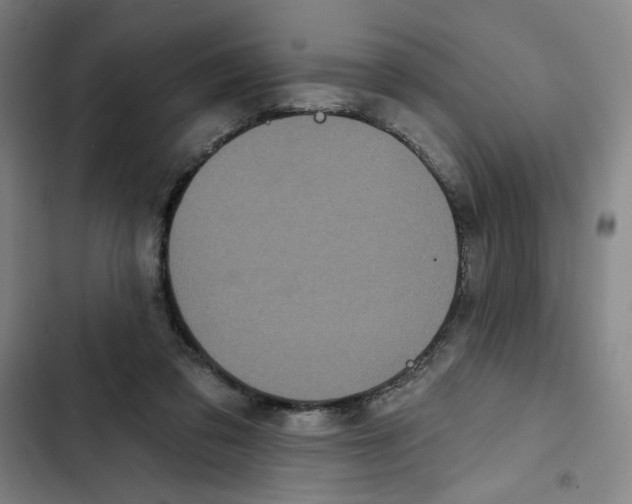 X0000102350309200808291207