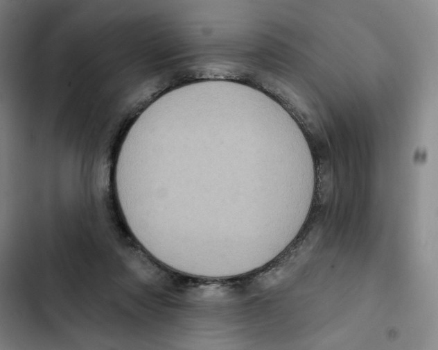 X0000102350310200808291207