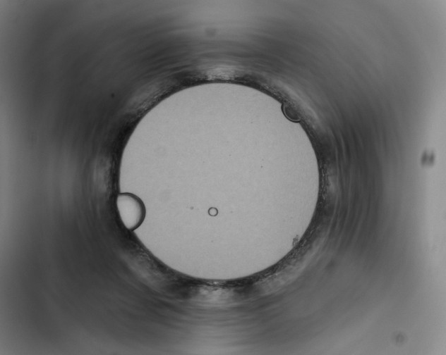 X0000102350311200808291207