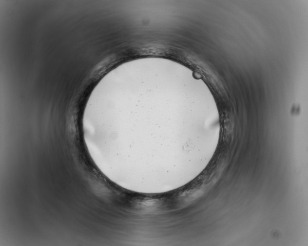 X0000102350312200808291207