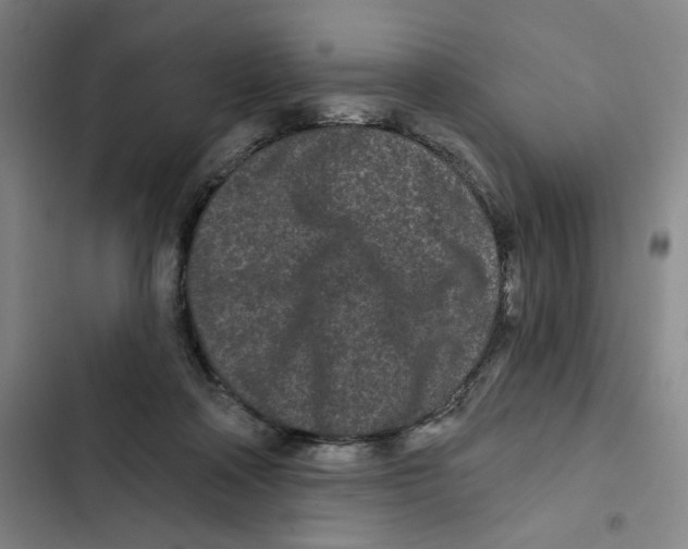 X0000102350314200808291207