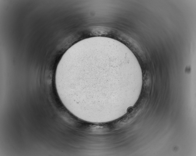 X0000102350315200808291207