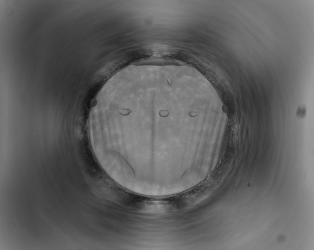 X0000102350316200808291207