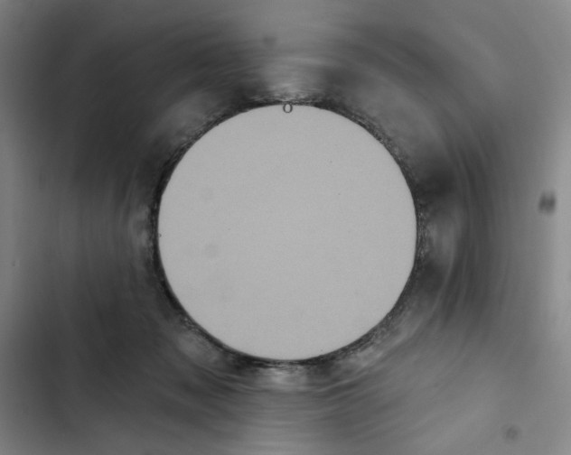 X0000102350317200808291207