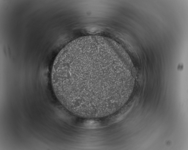 X0000102350319200808291207