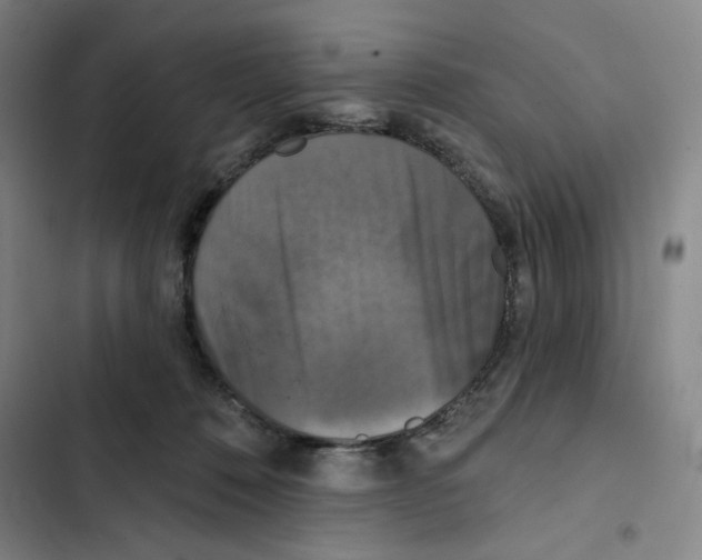 X0000102350320200808291207
