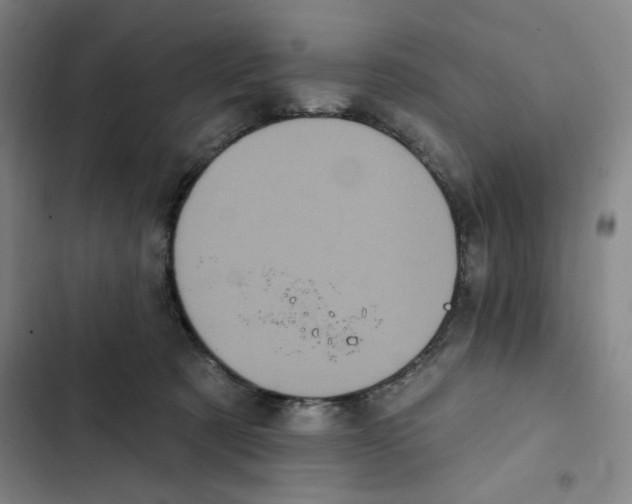 X0000102350321200808291207
