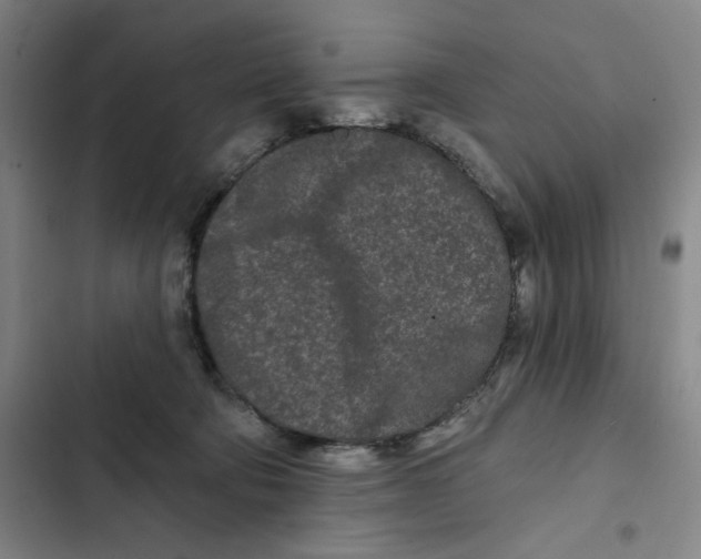 X0000102350322200808291207