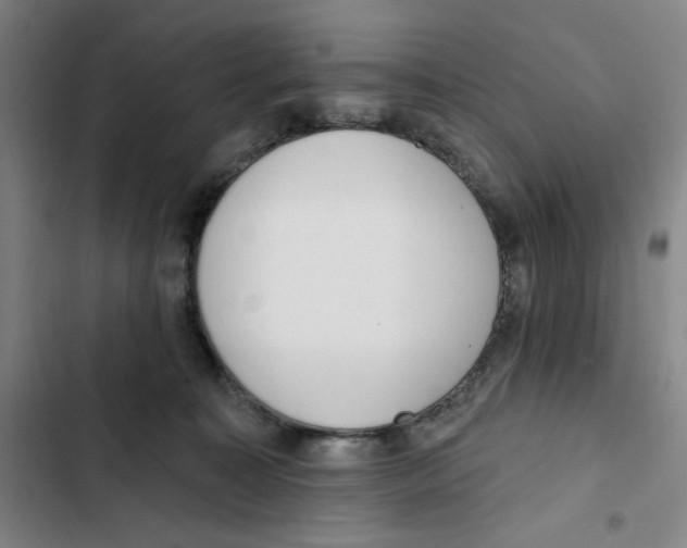 X0000102350323200808291207