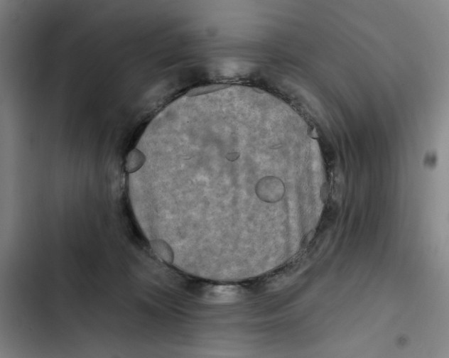 X0000102350324200808291207