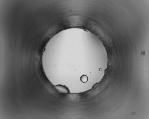 X0000102350327200808291207