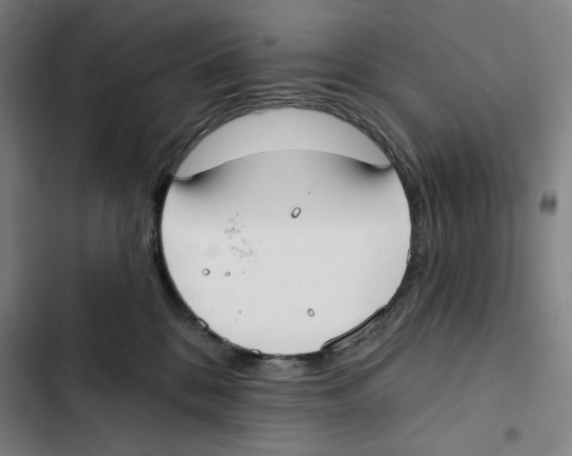 X0000102350328200808291207