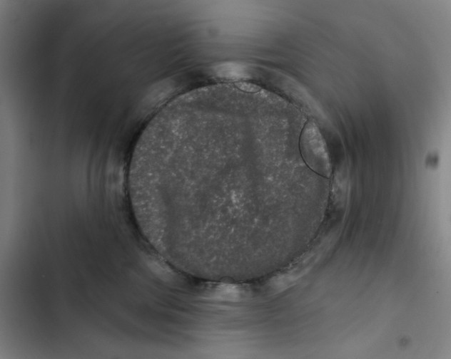 X0000102350330200808291207