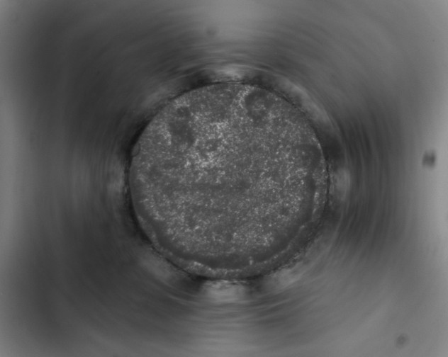 X0000102350331200808291207