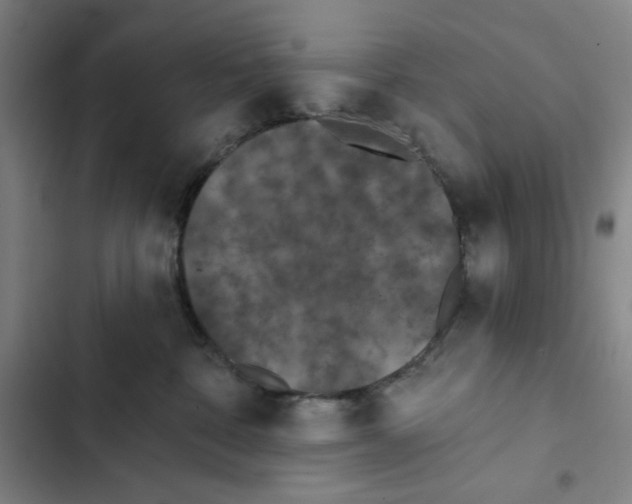 X0000102350332200808291207