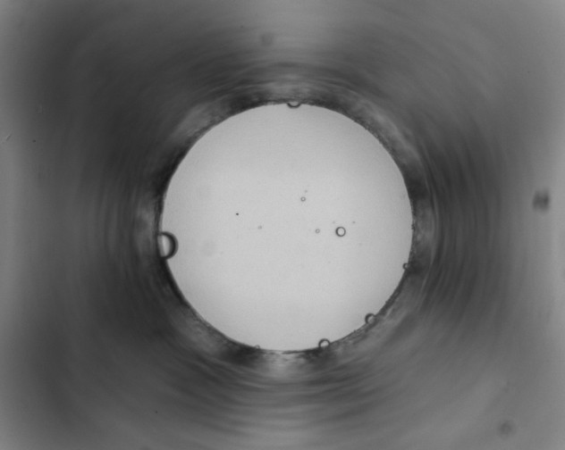 X0000102350333200808291207