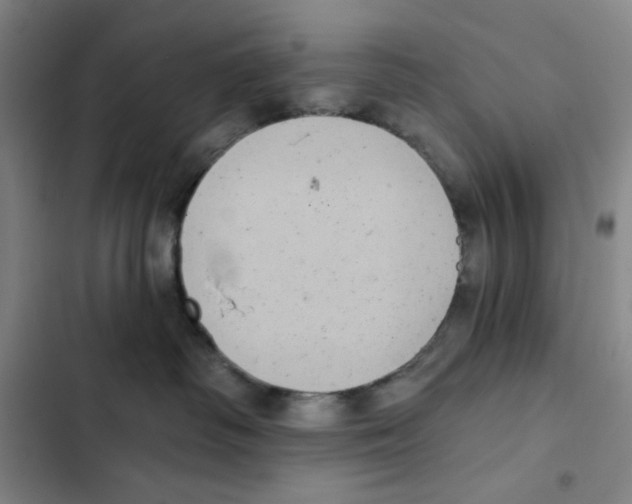 X0000102350334200808291207