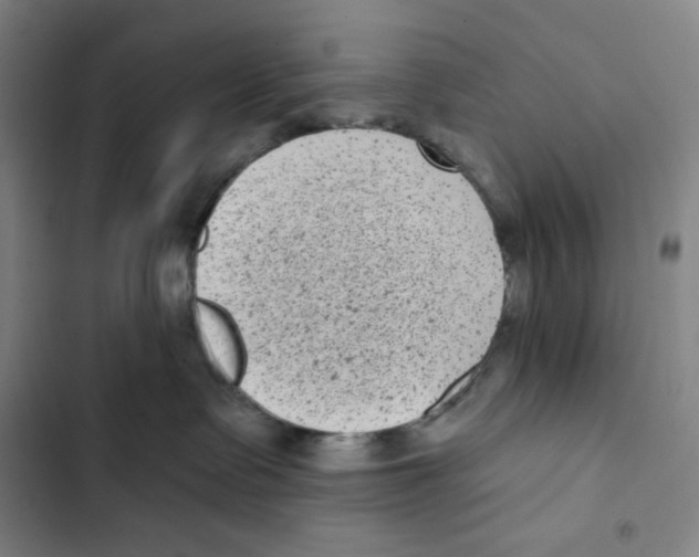 X0000102350335200808291207
