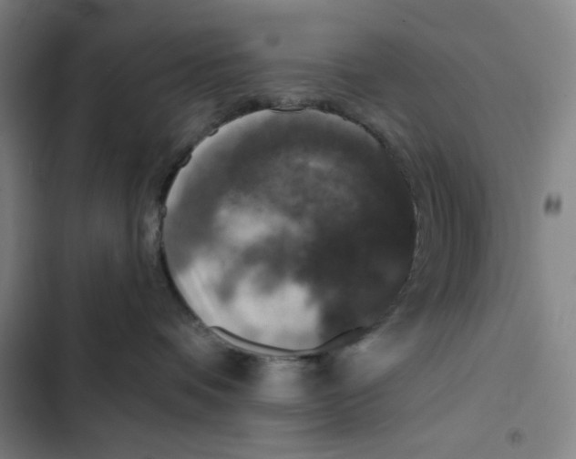 X0000102350336200808291207