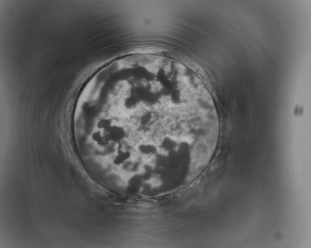 X0000102350337200808291206