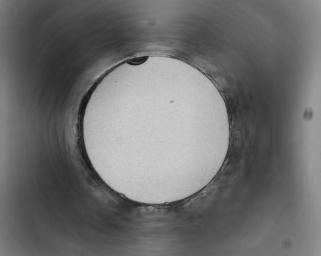 X0000102350338200808291206
