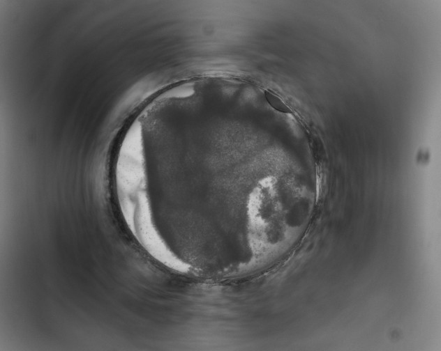 X0000102350339200808291206