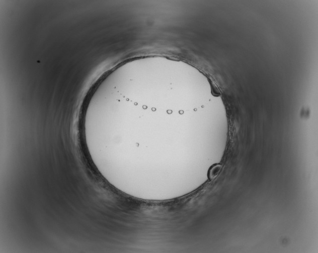 X0000102350340200808291206
