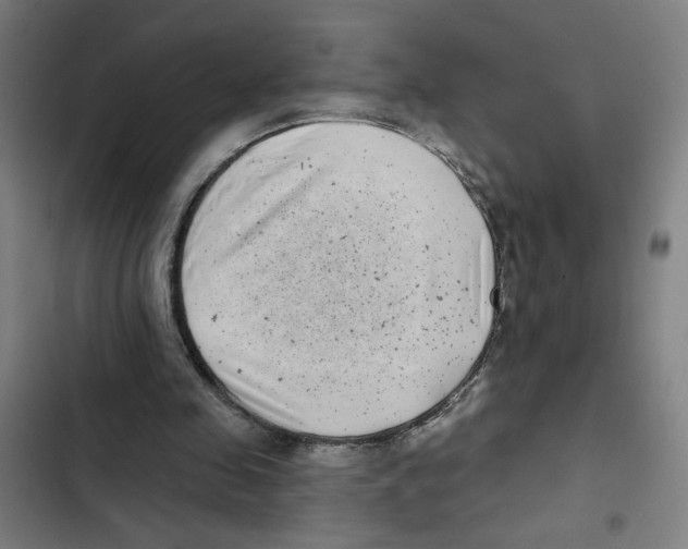 X0000102350341200808291206