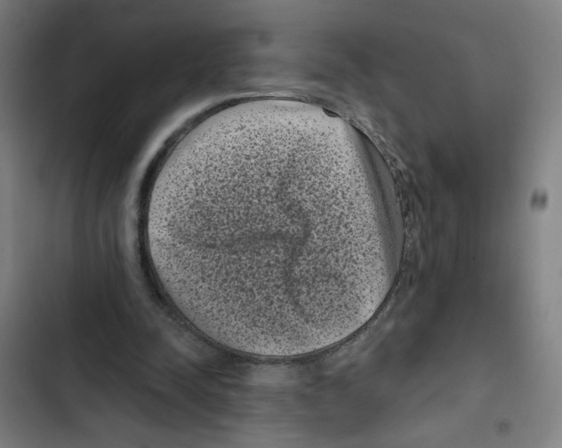 X0000102350342200808291206