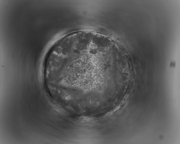 X0000102350343200808291206