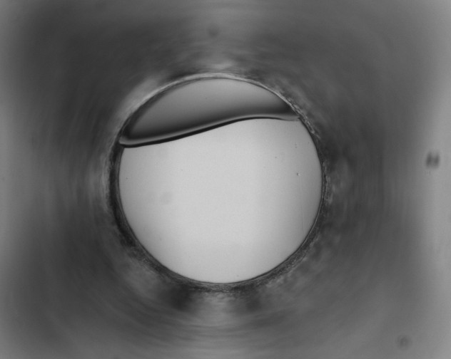 X0000102350344200808291206