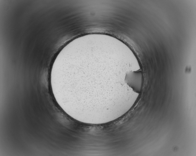 X0000102350345200808291206