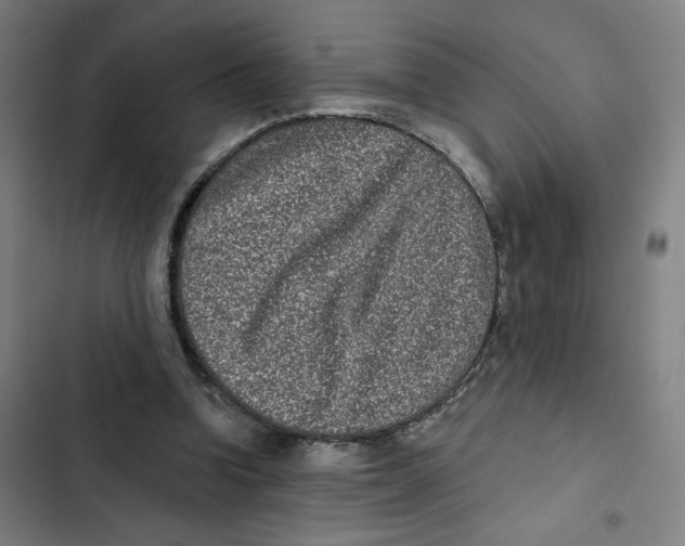X0000102350346200808291206