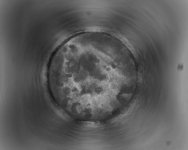X0000102350347200808291206